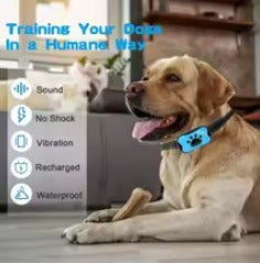 Pet Dog Anti Barking Device USB Rechargeable Dogs Training Collar Ultrasonic Stop Barking Vibration Anti Bark Collar