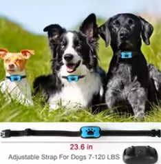 Pet Dog Anti Barking Device USB Rechargeable Dogs Training Collar Ultrasonic Stop Barking Vibration Anti Bark Collar